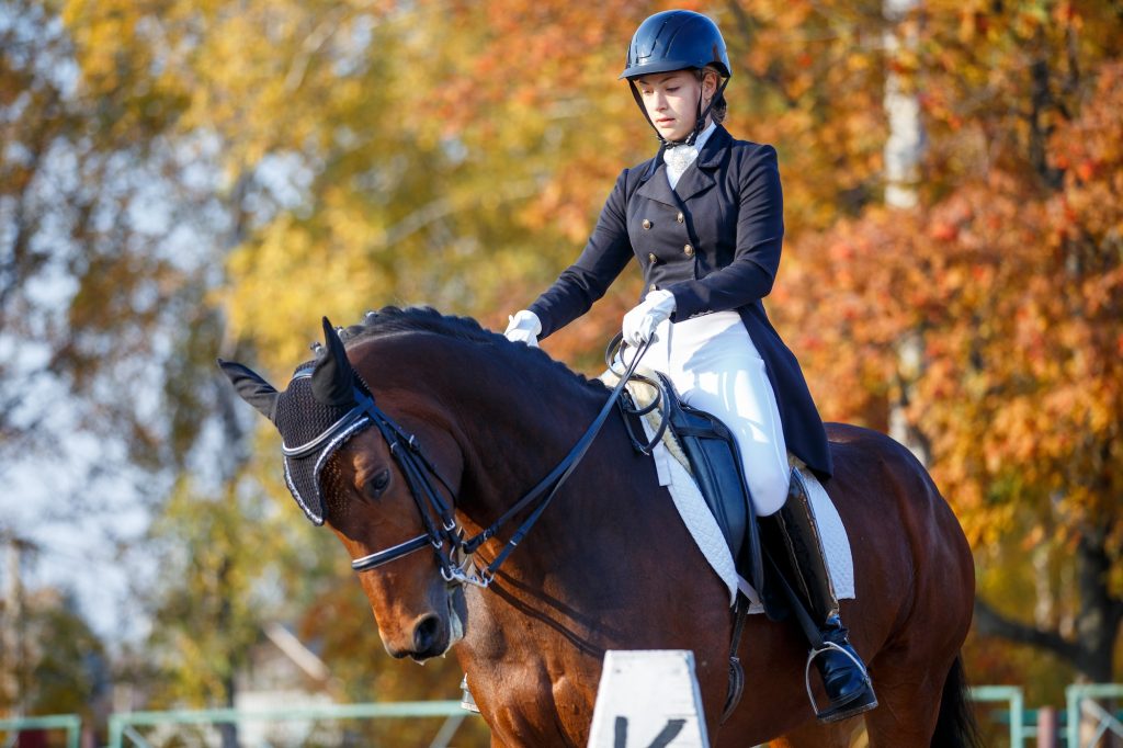 Teenage girl riding horse on equestrian dressage test in autumn